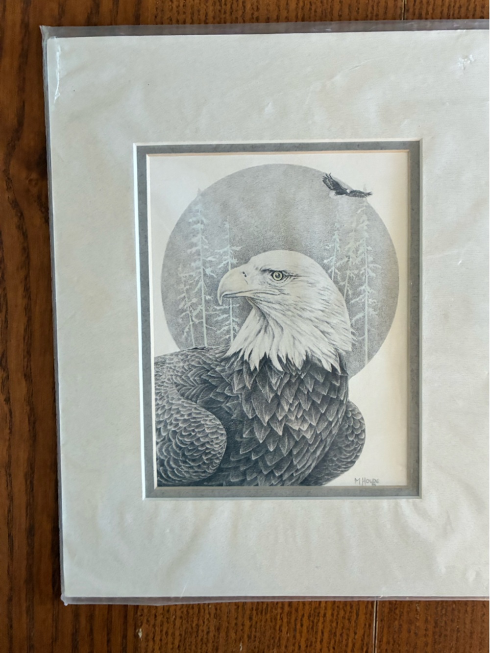 Original Bald Eagle Pencil Art Print in Gray and White